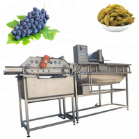 Machine professionnelle de lavage, de séchage et de transformation des raisins secs