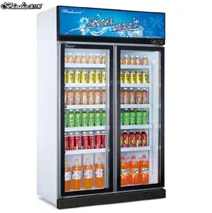 Supermarket drinking display 2 glass door refrigerator Upright Commercial equipment flower shop equipment