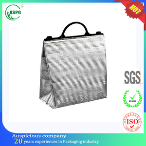 Moda exterior mango duro isotérmica bolsa aislante para la señora - Product Image 1