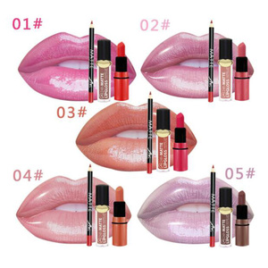 Marque privée en gros bouche conteneur longue durée lipgloss imperméable à l'eau lèvre liner mat cosmétiques rouge à lèvres <span class=keywords><strong>kit</strong></span> - Product Image 2