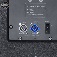 MORIN DSL-15DSP Module en bois étanche à diaphragme en alliage d'aluminium de 15 pouces, classe D, puissance de pointe 1400W, large plage de tension 700W
