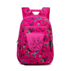 school bag rs 300