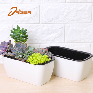 2018 mejor envío muestra plástico macetas para <span class=keywords><strong>plantas</strong></span> de vivero para planta suculenta - Product Image 5