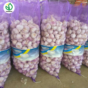 Cung Cấp Tỏi Trung Quốc Trong <span class=keywords><strong>Container</strong></span> Cá Hồi 40ft - Product Image 5