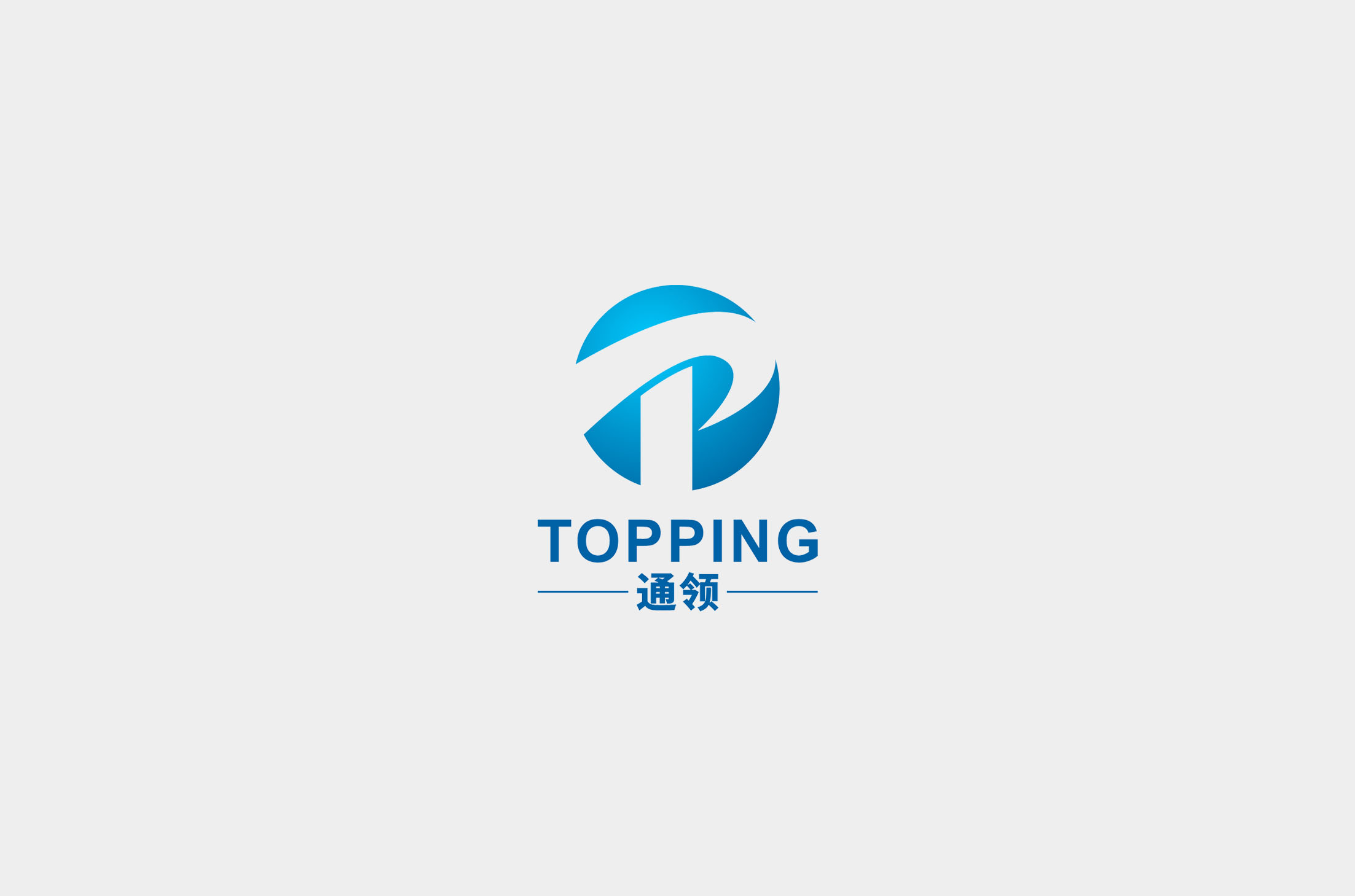 Hangzhou Topping Industrial Co., Ltd. logo