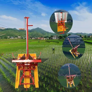 Tangan Menghidupkan Paddy Planter 2 Baris Indonesia Benih Manual Padi Transplanter untuk Dijual dengan Harga