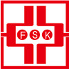 Qingdao Fsk Foundry Materials Co., Ltd. logo