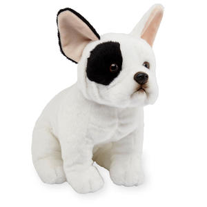 American eskimo <span class=keywords><strong>scooby</strong></span> <span class=keywords><strong>doo</strong></span> perro de peluche sexo juguete de peluche - Product Image 5