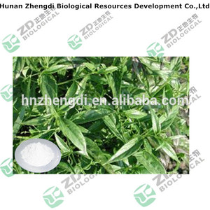 customized Andrographis herb Extract andrographis paniculata extract 8%-98% andrographolide - Product Image 1