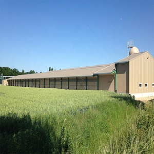 Thương mại hoàn chỉnh kiểm soát gia cầm đổ cho trang trại gà nhanh chóng lắp ráp kết cấu thép xây dựng - Product Image 1