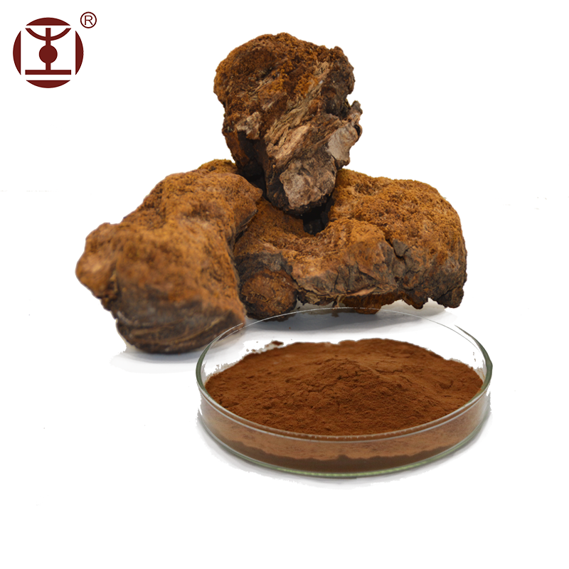 Высококачественный гриб Чага (экстракт фаеопора обликуса) полисахарид