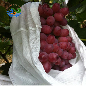 Thân thiện với môi không thấm nước thoáng khí chống UV Túi bảo vệ cho nho/Xoài/rồng cây ăn quả UV kháng - Product Image 5