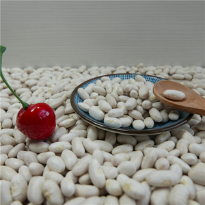 Frijol Blanco de Alta Calidad, Precio de Mercado - Product Image 4