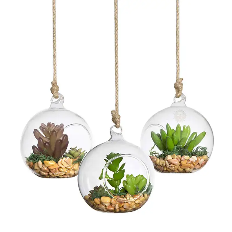 Factory Direct 3 Hanging Glass Terrariums by Spherical Air Plant Orb Handmade, Heat-Resistant Glass Terrace Garden Vase