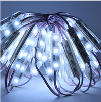 Module LED SMD 5730 à haute luminosité DC 12V 3 pièces, étanche IP67, 1,2W, angle de vision 140-160°, tricolore, dimmable, utilisation extérieure, CE