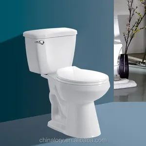 Einzigartiges Design Badezimmer zweiteilige anglo indische Toilette