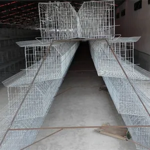 Cage à poules en couches, ferme de volaille à vendre Pakistan 72-160 poulets un ensemble fil galvanisé trempé à chaud 1350-2400mm 1800-2200mm