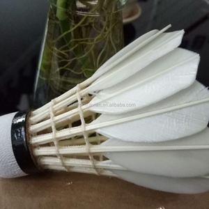 ลูกขนไก่ขนห่าน2023 <span class=keywords><strong>Kawasaki</strong></span> - Product Image 5