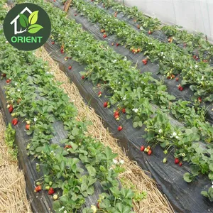 Orient strawberry greenhouse low cost agricultural plastic film multi-span agricultural greenhouses commercial and agriculture food grade usage