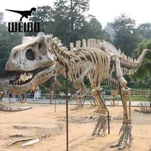 Haute simulation artificielle squelette de dinosaure