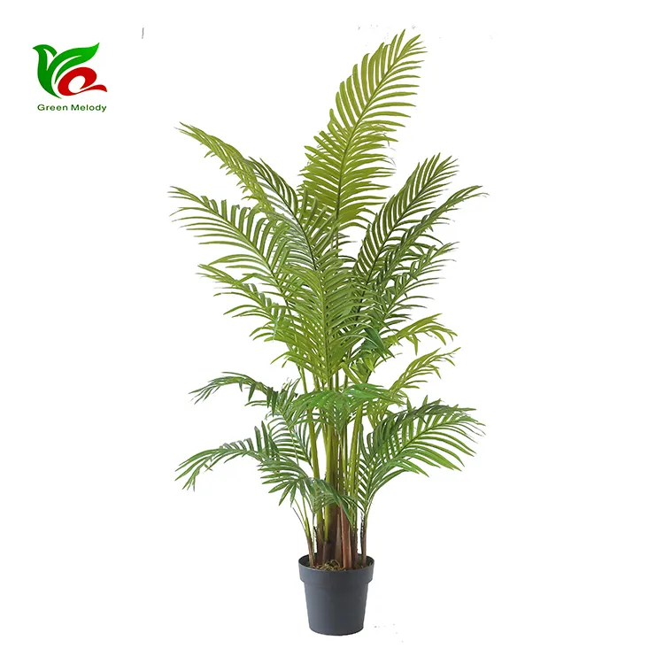 Alibaba China Leverancier Tuin Decoratieve Palm Plant Kunstmatige Plant Keniaanse Robellini Palm
