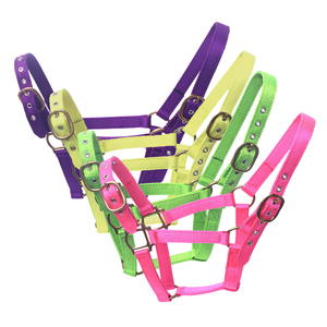 Collar de nailon árabe con cuello Halter, diseño de tu propio <span class=keywords><strong>Caballo</strong></span>, productos de marca privada - Product Image 1