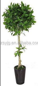 <span class=keywords><strong>Arbre</strong></span> de <span class=keywords><strong>laurier</strong></span> de haute qualité / <span class=keywords><strong>Arbre</strong></span> de <span class=keywords><strong>laurier</strong></span> artificiel Décoration Arbres de bois doux artificiels / Plantes artificielles en gros pour l'extérieur - Product Image 3