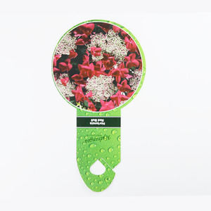 Étiquette de graines d'étiquette de <span class=keywords><strong>plante</strong></span> de bâton de <span class=keywords><strong>plante</strong></span> de <span class=keywords><strong>Hebe</strong></span> imperméable de fleur en forme pour le travail de jardin - Product Image 4