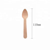 Biodegradable Eco-friendly Disposable Compostable Wooden Mini Dessert Spoon