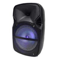 Altavoz Bafle de 8 pulgadas, Subwoofer alimentado por graves, batería recargable, Radio Led, carrito de concierto inalámbrico, altavoz de Dj, carga Usb de 1000W