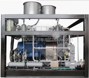Marca China souair alta calidad compresor de gas natural estación de GNC compresor