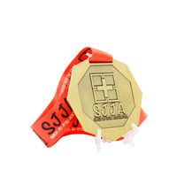 Longzhiyu 17 ans métal Marathon course médaille fabricant monde karaté médailles Logo personnalisé Taekwondo sport médaillon