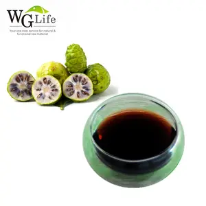 Hainan produttore professionale fornitura all'ingrosso concentrato di succo di enzima di frutta Noni puro naturale fresco