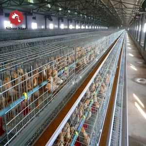 Automatic Pullet Baby Chicken Battery Brooder Cage for Day Old Layer Grower Chicks