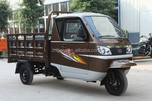 Triciclo de tipo cerrado, con cabina, 200cc/250cc/300cc, 250cc, con certificación CCC - Product Image 3