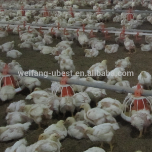 Home furnishing tunnel, vented volail/tunnel ventilation poultry shed - Product Image 4