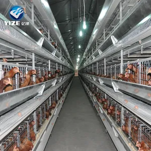 Equipo de cría de huevos de pollo de puesta automática de aves de corral de China/casa de aves de corral prefabricada de estructura de acero