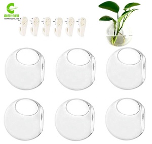 Macetas Colgantes de Pared, Terrarios de Vidrio, Recipientes Redondos para Plantas de Aire, Globos para Suculentas - Product Image 5