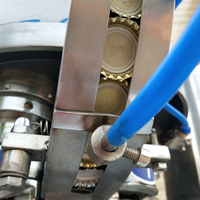 Machine de bouchage automatique à grande vitesse pour bouteilles en verre, lait, jus, bière