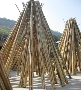 Bâtons de tige de canne en bambou de couleurs naturelles teintées, revêtues de PVC