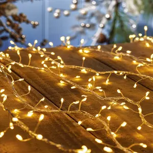 Naked wire fairy lights LED Cluster lights 3 meters