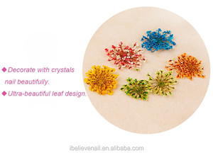 Naturale di Arte Del Chiodo di 12 Colori Decorazione di Fiori Secchi - Product Image 4