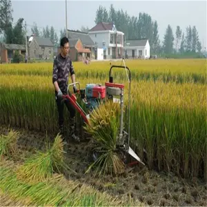 Mesin Penjilap Nasi Mesin Diesel Dorong Tangan