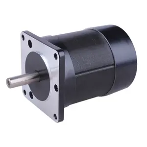 Borstelloze motor 36 v 4000 rpm dc motor