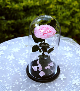 批发玻璃穹顶中国基地 - Product Image 2