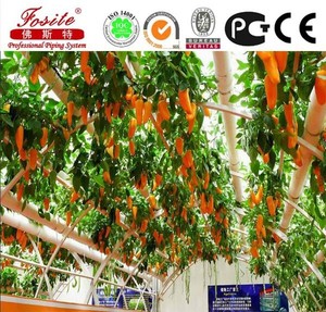 La culture hydroponique usine de pvc tuyaux pour <span class=keywords><strong>l</strong></span>'agriculture - Product Image 4