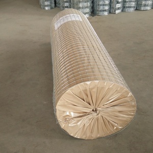 <span class=keywords><strong>2x2</strong></span> 사각 구멍 전기 아연 도금 철 와이어 메쉬 용접 와이어 메쉬 펜싱 원예 및 케이지 - Product Image 5