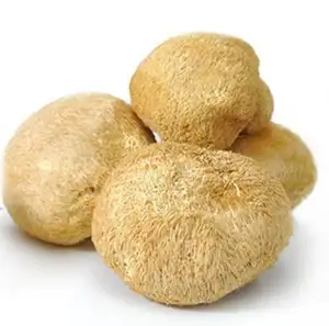 SETA de erizo seca para la barba, nuevo hongo para la salud - Product Image 1
