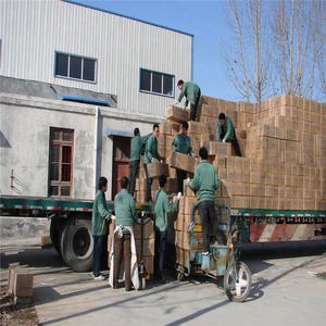 Elbow cavity injection model for teaching in the medicine - Product Image 3