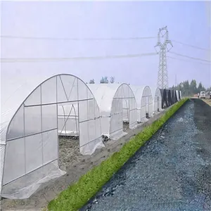 Baixo custo único teto túnel verde casa agrícola